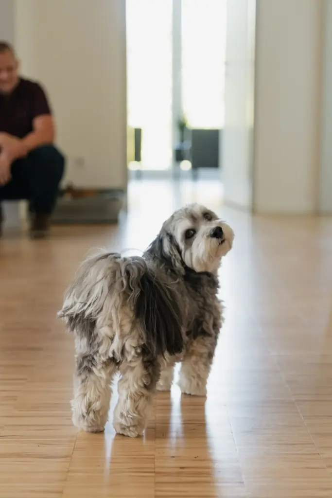 Lenkeit Immobilien Kerpen